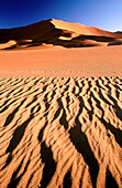 Sossusvlei. Namib Desert. Namibia