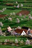 Breitenbach. Alsace. France