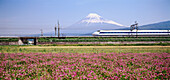 Bullet train (Shinkansen). Mount Fuji. Japan