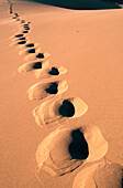 Line of footprints in sand dunes. Nevada. USA