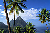 Gros Piton and Petit Piton mountains. St. Lucia (West Indies)