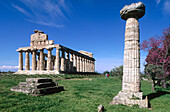 Temple of Athena (so-called Temple of Ceres). Paestum. Italy