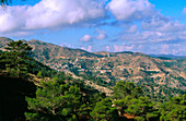 Mountains in Troodos. Between the villeges of Pedulas and Kakopetria. Cyprus