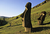 Moai quarry. Ranu Raraku. Easter Island. Chile.