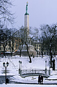 Park and Freedom Monument in old town in winter. Riga, Latvia