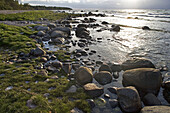 Stone beach on Baltic coast, Saaremaa island. Estonia