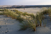 Parnidis dune, Curonian Spit. Lithuania