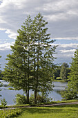 Druskonis Lake, Druskininkai. Lithuania