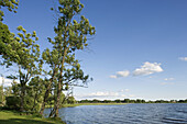 Sirvenos Lake, Birzai. Lithuania