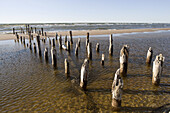 Baltic coast, Sikrags. Slitere National Park, Kurzeme region. Latvia