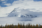 Fireweed Mountain. Clearing Storm. Winter. McCarthy. Interior. Alaska. USA.