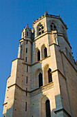 Cathedrale St- Benigne- 13th century. Dijon. Côte d Or. Burgundy. France.