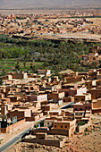 Town View & Palmerie Date Forest / Daytime. Tinerhir. Todra Gorge Area. Hight Atlas. Morocco