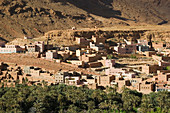 Town View at foothills of Todra Gorge & Palmerie Date Forest. Late Afternoon. Ait Ouritane (Tinerhir Area). Todra Gorge Area. Hight Atlas. Morocco