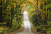 Country Road in Autumn. Eastport. Lake Michigan Shore. Michigan. USA.