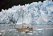 Glacier Bay National Park. Alaska. USA