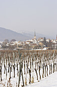 Mittelbergheim. Alsatian Wine Road. France