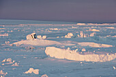 Pack Ice. Antarctica