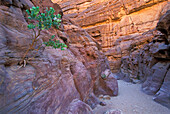 Coloured Canyon in der Gebirgswüste, Sinai, Ägypten, Afrika
