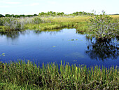 Everglades National Park. Florida. USA