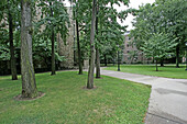 Yale University. New Haven. Connecticut. USA
