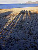 Shadows on the beach