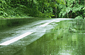 Wet road
