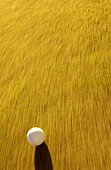  Ball, Balls, Color, Colour, Concept, Concepts, Contemporary, Daytime, Detail, Details, Exterior, Fast, Golf, Golf course, Golf courses, Golfing, Green, Leisure, Motion, Movement, Nobody, One, Outdoor, Outdoors, Outside, Putt, Putting, Speed, Sport, Sport
