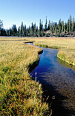 Kings Creek Meadow. Lassen Volcanic NP. California. USA.