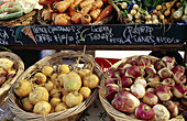 Carrots and turnips for sale. Ferry Building Farmers Market. San Francisco. California. USA
