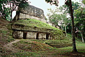 Archeological site: plaza of the seven temples, Mayan ruins of Tikal. Peten region, Guatemala