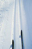 Ski tips of cross-country skis in the snow in the cross-country ski run during the drive