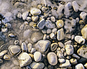 Pebbles in the ice.