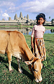 Child with her cow, Angkor Wat. Angkor. Siem Reap. Cambodia