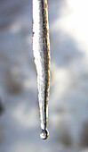 icicle drop