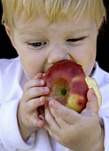 toddler eating apple