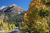 autumn road, CA