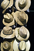 shade hats