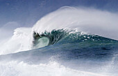 Powerful wave, Oahu. Hawaii, USA