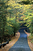 Narrow one lane road in autumn colors