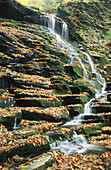 Waterfalls in Rickets Glen SP, autumn. USA