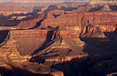 Grand canyon vista