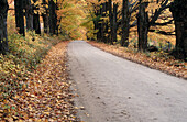Road in autumn. Utah, USA