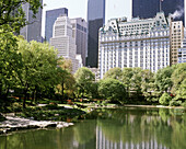 Pond at Central Park, Manhattan. New York City, USA
