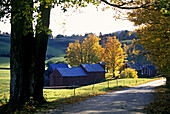 Jenne Farm. Reading. Vermont, USA
