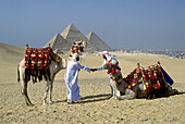 Men handshaking and camels, Great Pyramids. Gizeh. Egypt