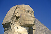 Head of Sphinx and Pyramid. Gizeh. Egypt