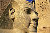 Ramses II statue, entrance to the Temple of Luxor. Egypt