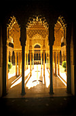 Arabic archway, Court of the Lions, Alhambra. Granada. Andalusia, Spain