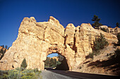 Red Canyon, Bryce Canyon National Park, Utah, USA